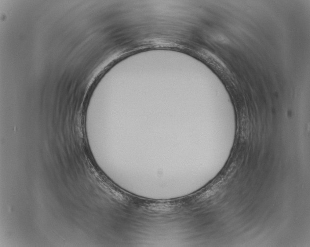 X0000060801182200512082142