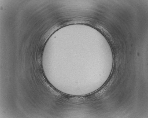 X0000060801185200512082142