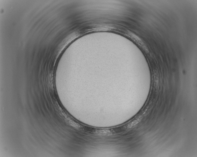 X0000060801186200512082142