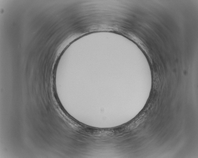 X0000060801187200512082142