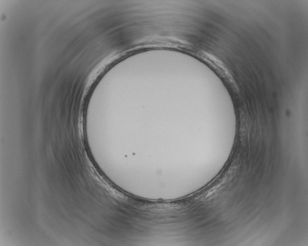 X0000060801188200512082142