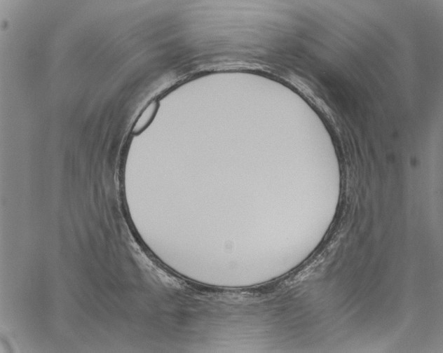 X0000060801189200512082142