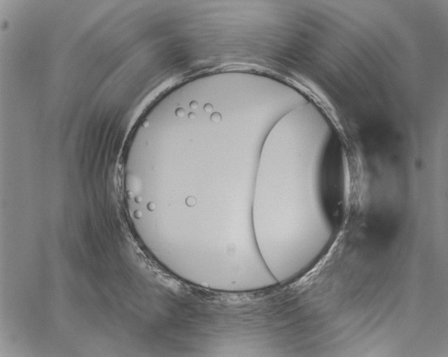 X0000060801190200512082142