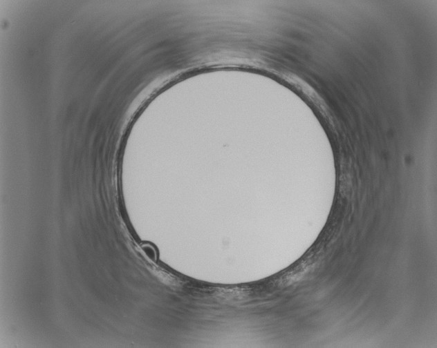 X0000060801191200512082142