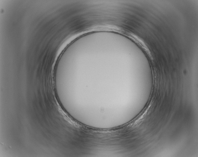 X0000060801192200512082142