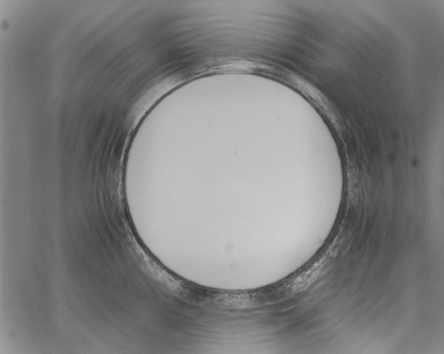 X0000060801194200512082142