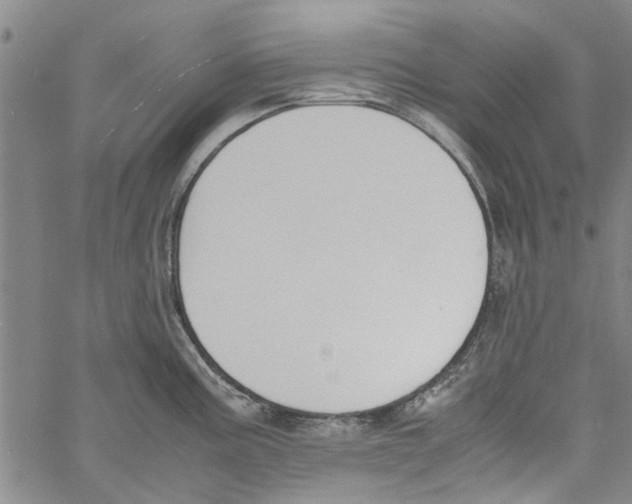 X0000060801195200512082142