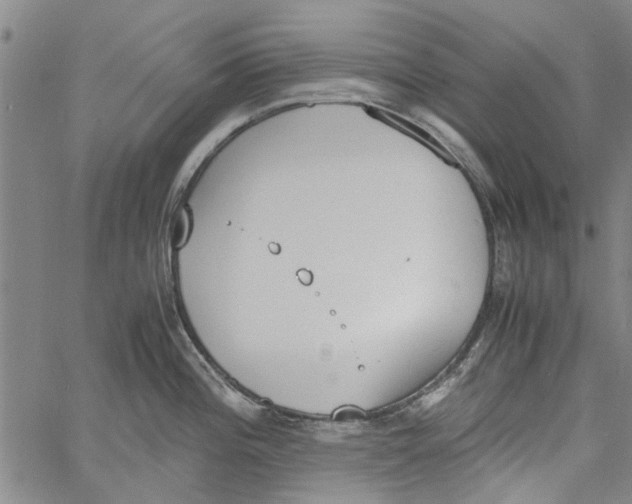 X0000060801196200512082142