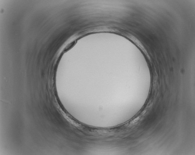 X0000060801197200512082142