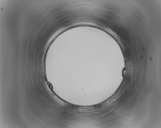 X0000060801199200512082142