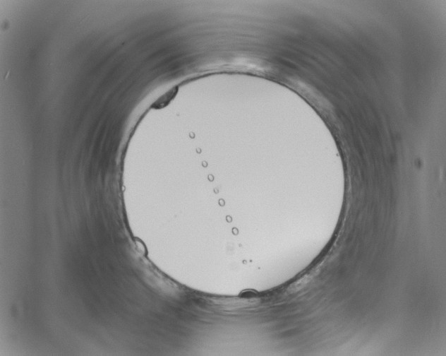 X0000060801200200512082142