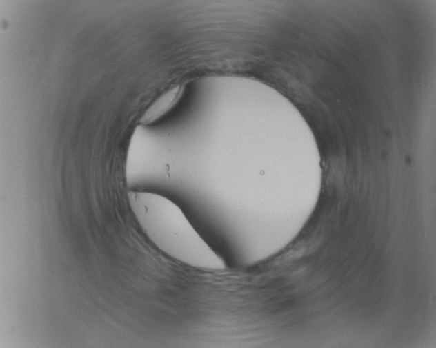 X0000060801202200512082141