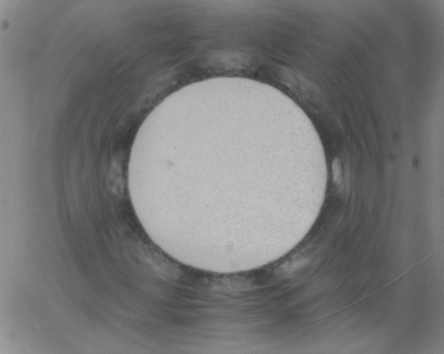 X0000060801203200512082141