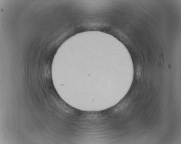 X0000060801204200512082141