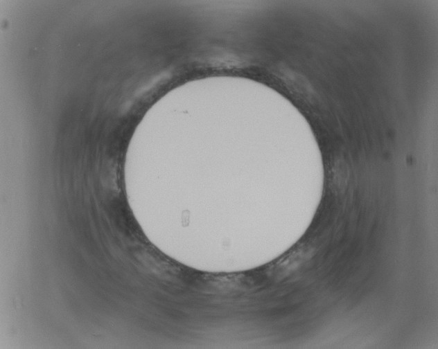 X0000060801205200512082141