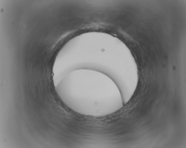 X0000060801206200512082141