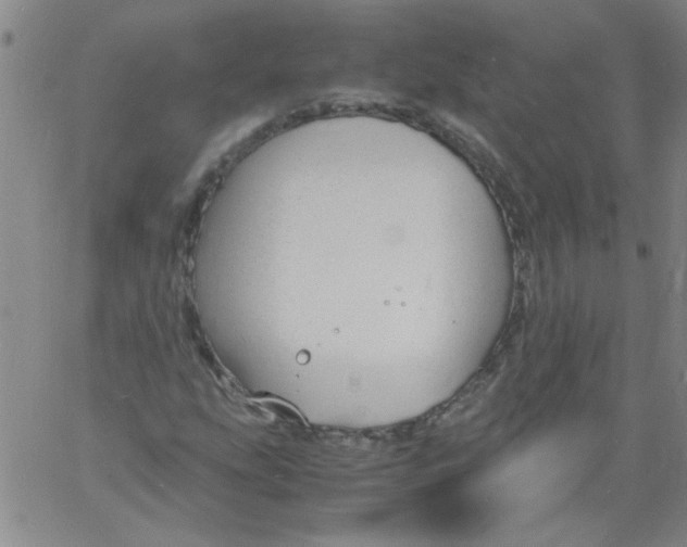 X0000060801207200512082141