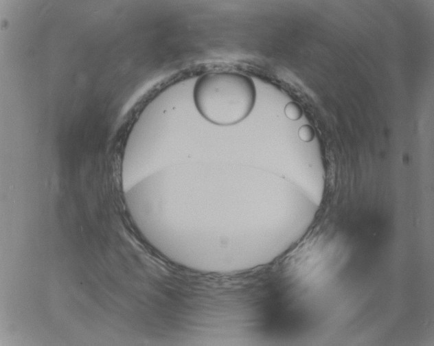 X0000060801208200512082141