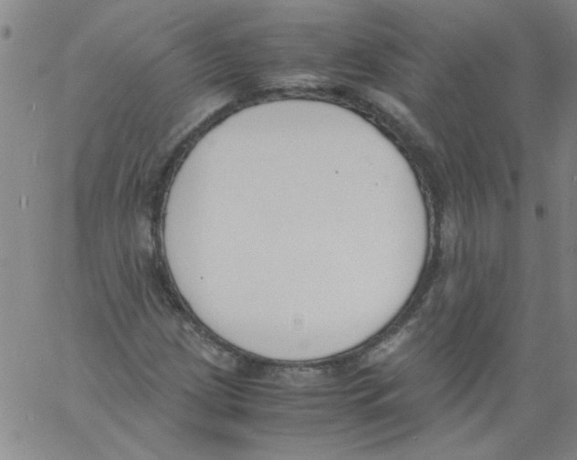 X0000060801209200512082141