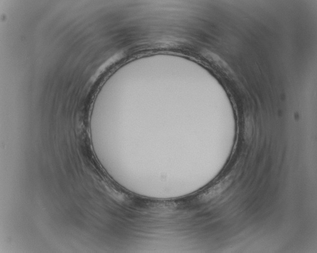 X0000060801210200512082141