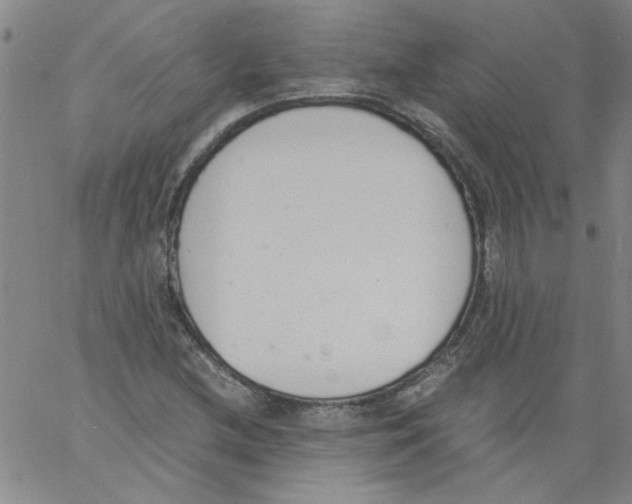 X0000060801212200512082141