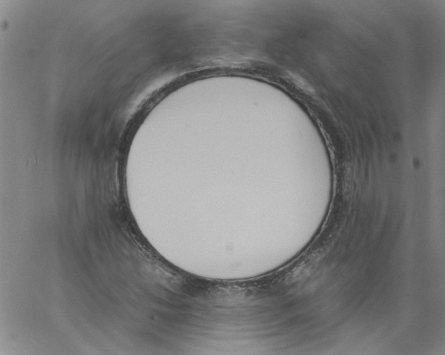 X0000060801214200512082141