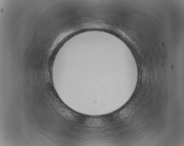 X0000060801215200512082141