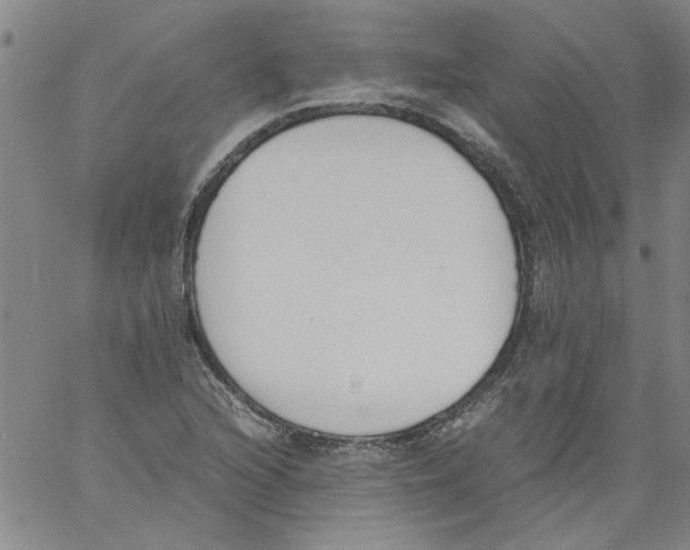 X0000060801216200512082141