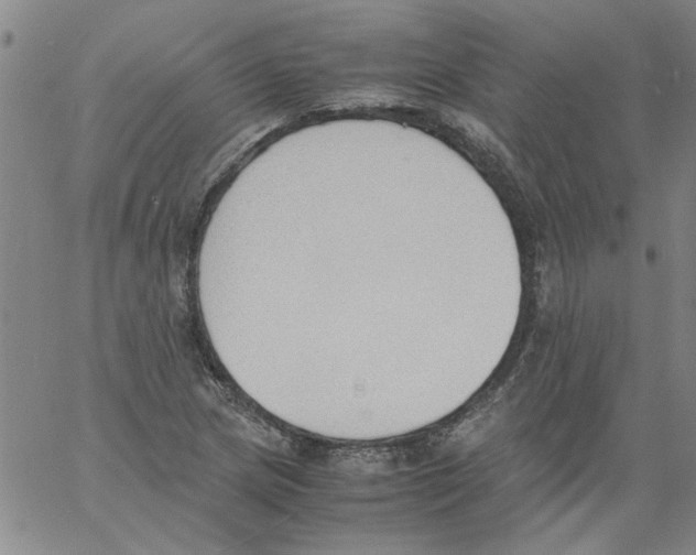 X0000060801217200512082141