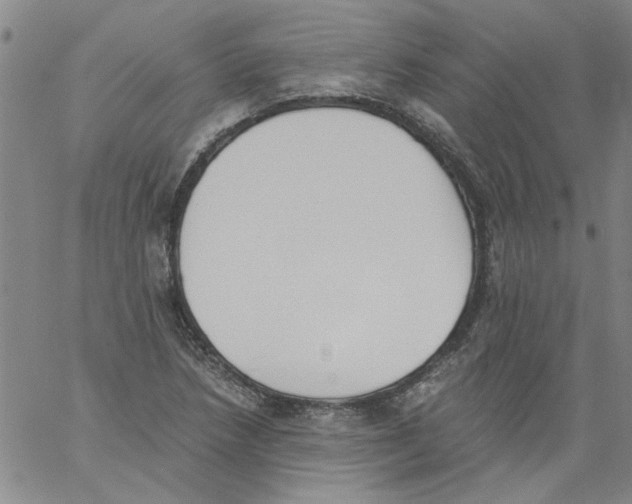 X0000060801218200512082141