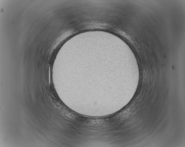 X0000060801219200512082141