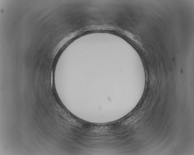 X0000060801221200512082141