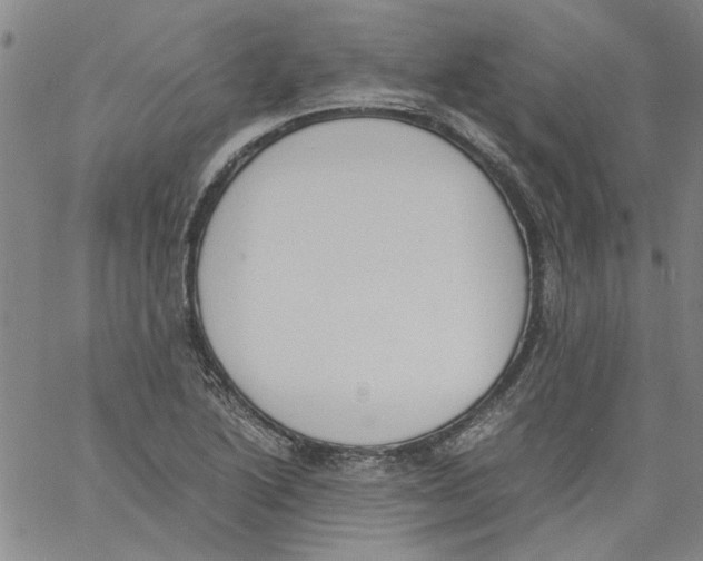 X0000060801222200512082141