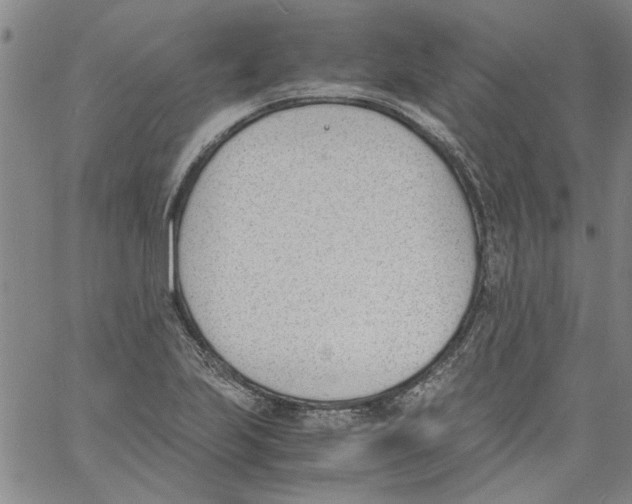 X0000060801223200512082141