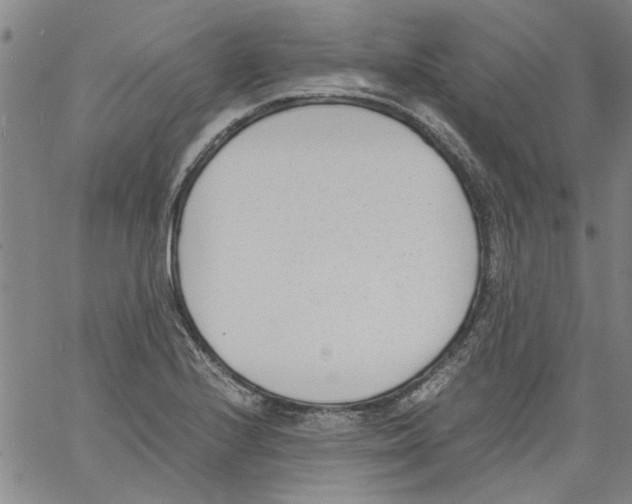 X0000060801224200512082141