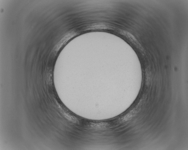 X0000060801225200512082141