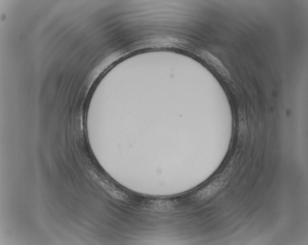 X0000060801226200512082141