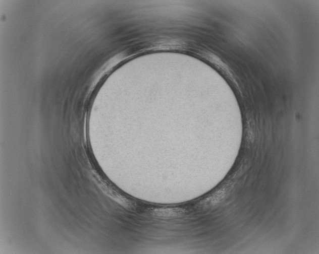 X0000060801227200512082141