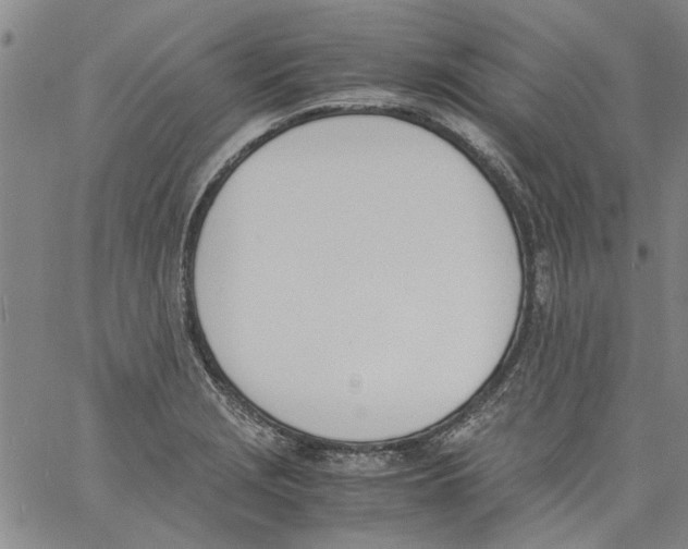 X0000060801229200512082142