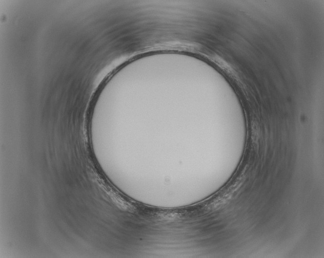 X0000060801230200512082142