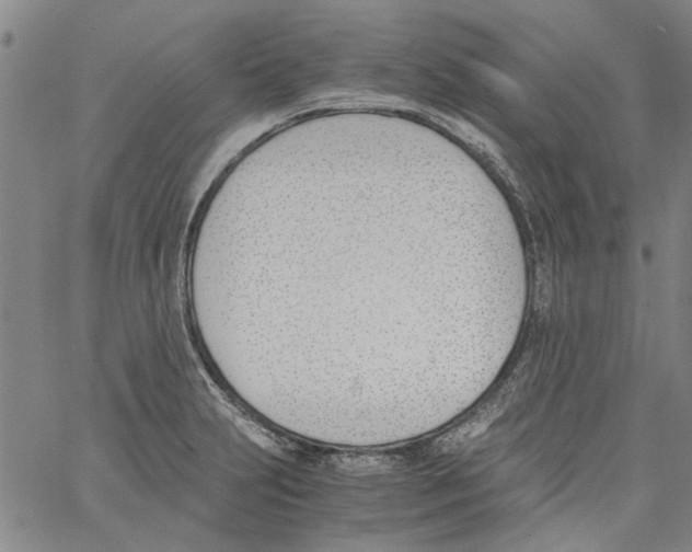 X0000060801231200512082142