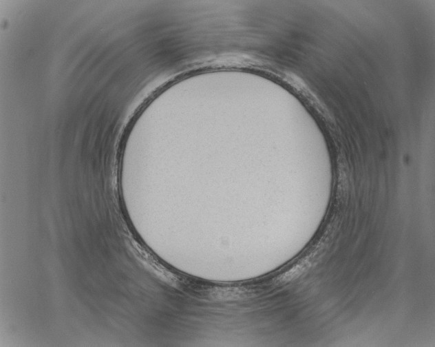 X0000060801232200512082142