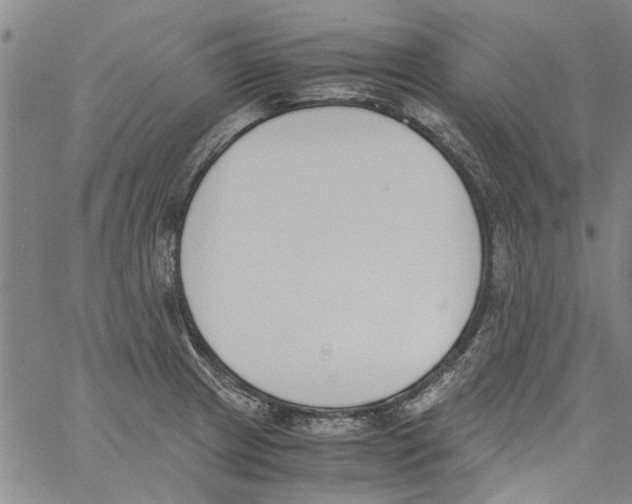 X0000060801233200512082142