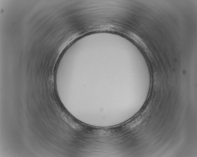 X0000060801234200512082142