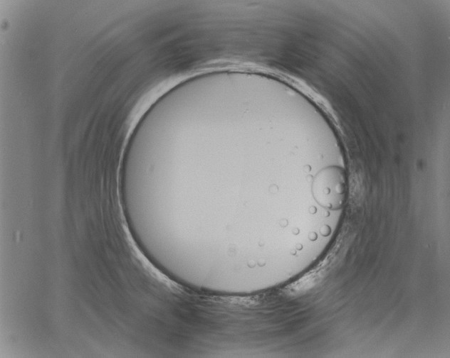 X0000060801239200512082142