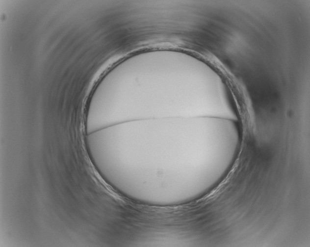 X0000060801240200512082142