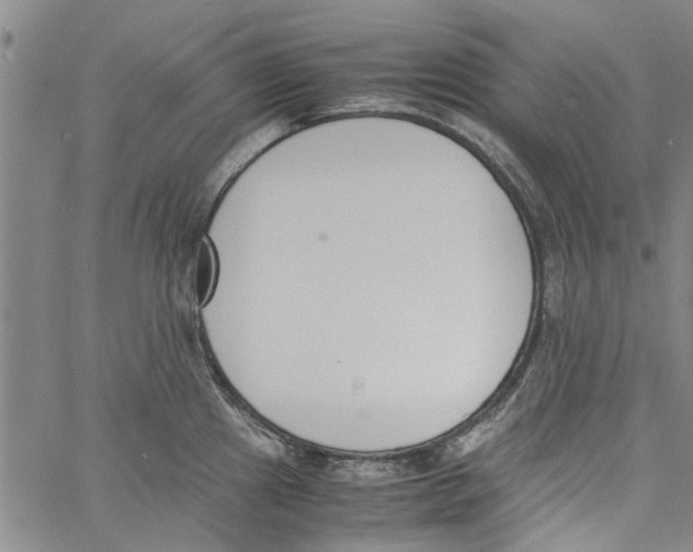 X0000060801241200512082142