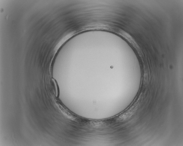 X0000060801242200512082142