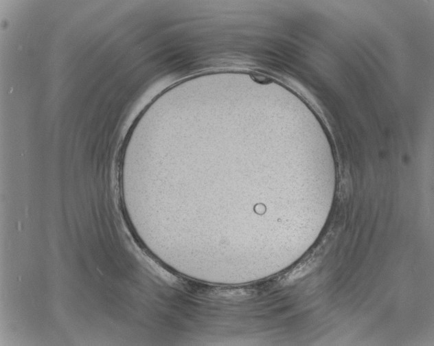 X0000060801243200512082142