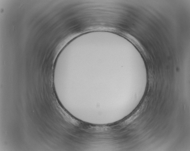 X0000060801244200512082142